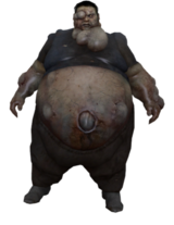 The Boomer
