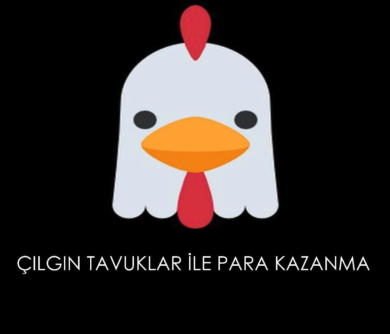 cilgin-tavuklar